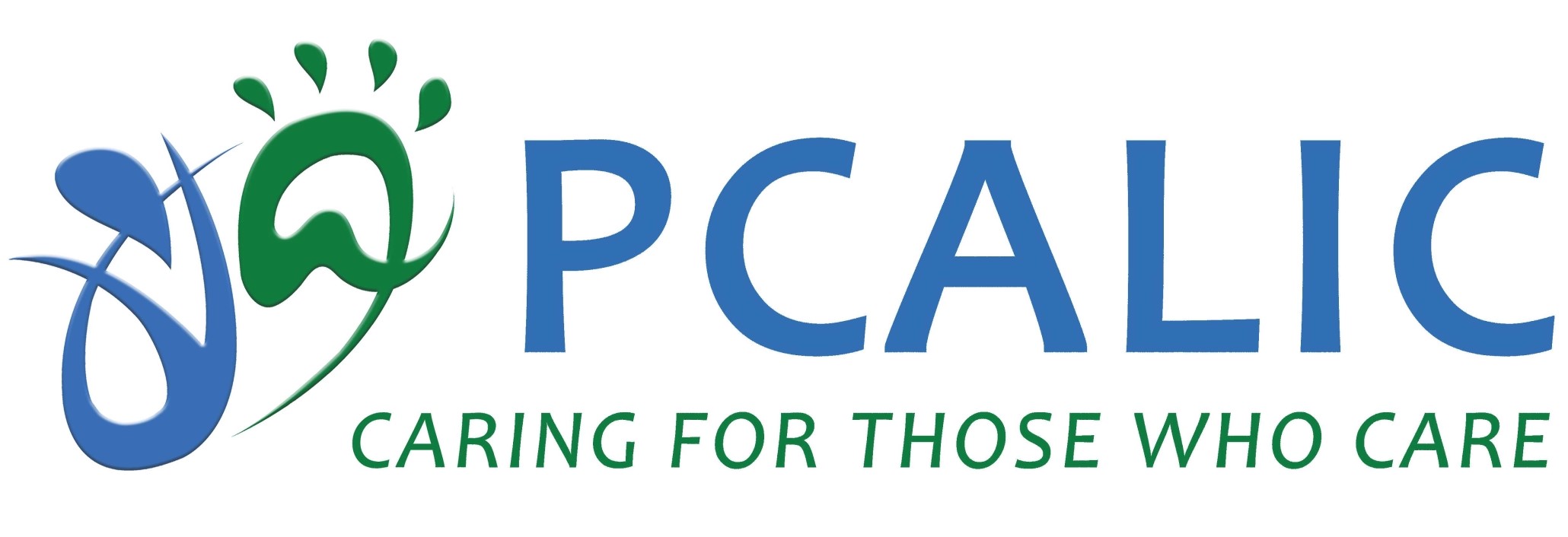 pcalic.instanda.us